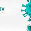 Coronavirus Update From Board and TAC Chairs